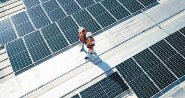 Best Roof Moss and Algae Removal  in Maple Bluff, WI