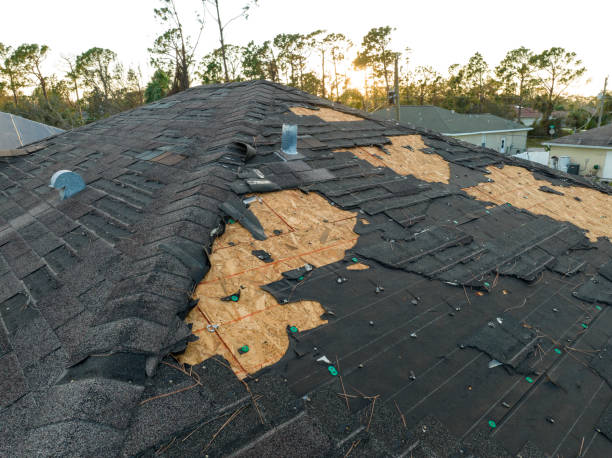 Best Asphalt Shingles Roofing  in Maple Bluff, WI